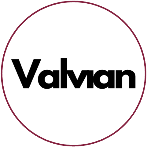 Valvian Logo
