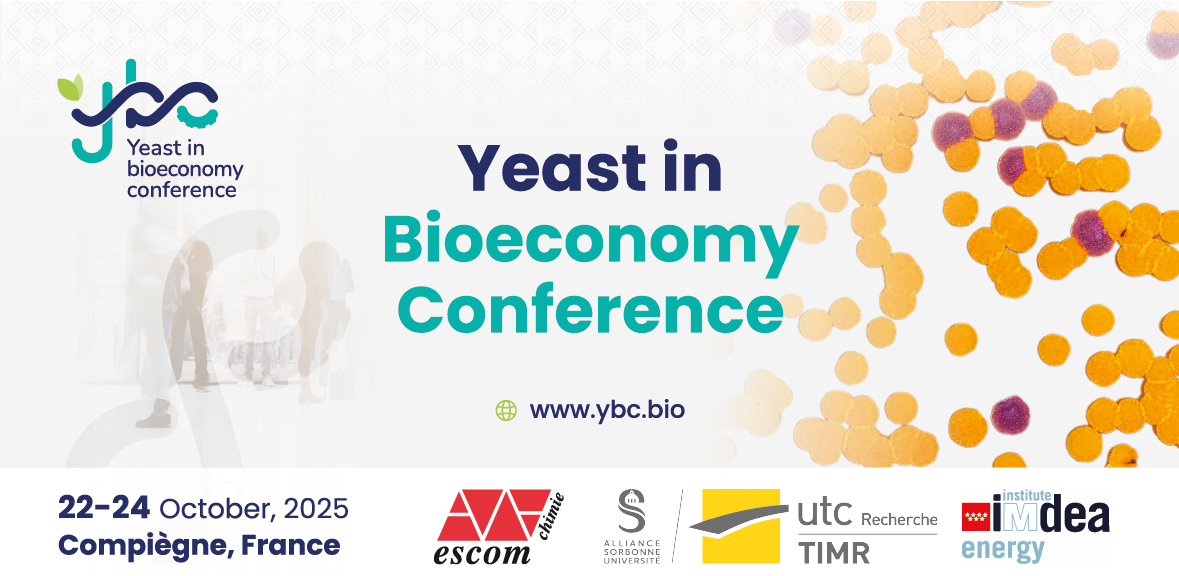 Banner YBC