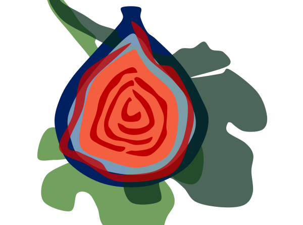 3rd CellAgri Portugal Conference